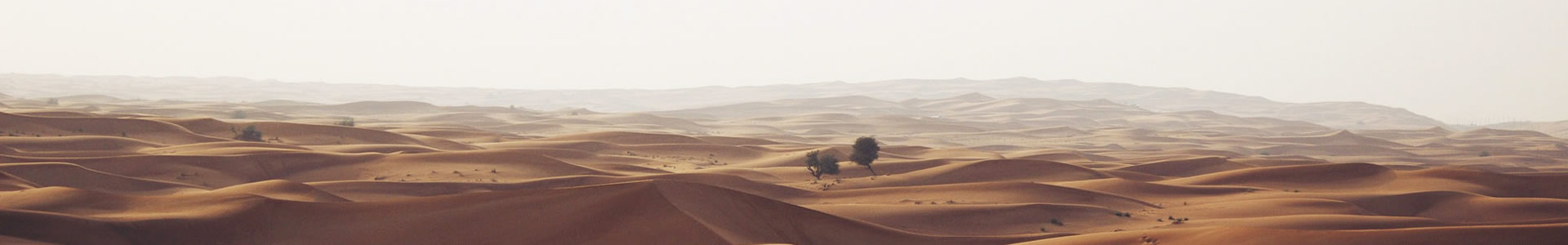 оܿƼ޹˾